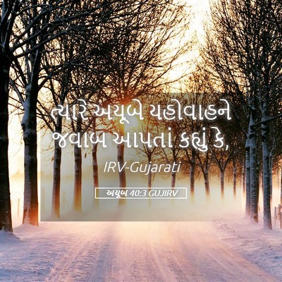 Picture 05 - અયૂબ 40:3 GUJIRV - ત્યારે અયૂબે - Bible Verse Picture