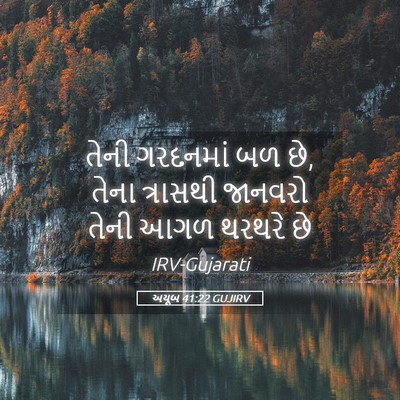 Picture 05 - અયૂબ 41:22 GUJIRV - તેની ગરદનમાં બળ છે, - Bible Verse Picture