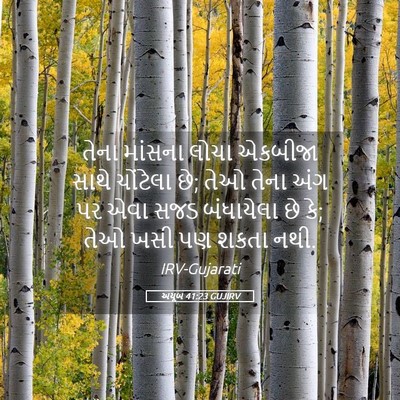 Picture 05 - અયૂબ 41:23 GUJIRV - તેના માંસના લોચા - Bible Verse Picture