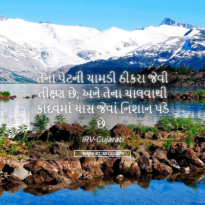 Picture 05 - અયૂબ 41:30 GUJIRV - તેના પેટની ચામડી - Bible Verse Picture