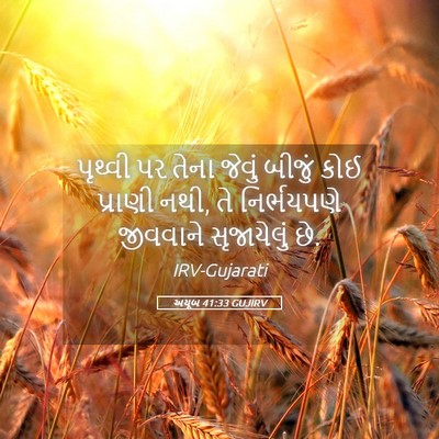 Picture 05 - અયૂબ 41:33 GUJIRV - પૃથ્વી પર તેના - Bible Verse Picture