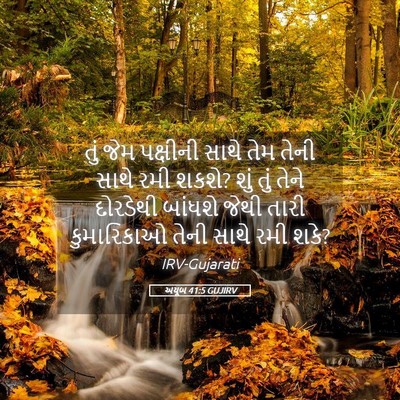 Picture 05 - અયૂબ 41:5 GUJIRV - તું જેમ પક્ષીની - Bible Verse Picture