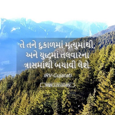 Picture 05 - અયૂબ 5:20 GUJIRV - તે તને દુકાળમાં - Bible Verse Picture