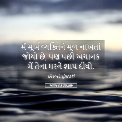 Picture 05 - અયૂબ 5:3 GUJIRV - મેં મૂર્ખ - Bible Verse Picture