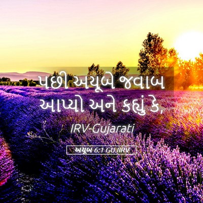 Picture 05 - અયૂબ 6:1 GUJIRV - પછી અયૂબે જવાબ - Bible Verse Picture