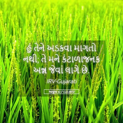 Picture 05 - અયૂબ 6:7 GUJIRV - હું તેને અડકવા - Bible Verse Picture