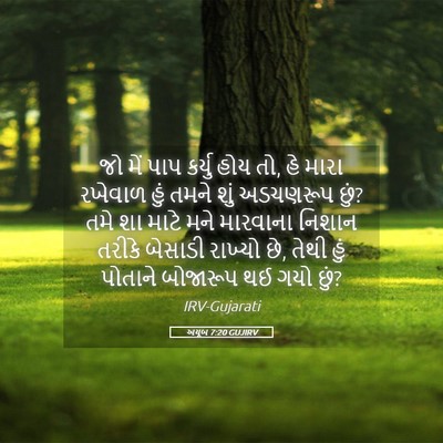 Picture 05 - અયૂબ 7:20 GUJIRV - જો મેં પાપ કર્યુ - Bible Verse Picture