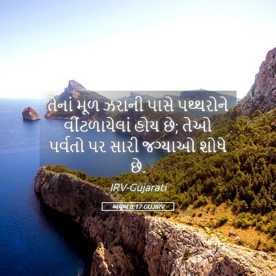 Picture 05 - અયૂબ 8:17 GUJIRV - તેનાં મૂળ ઝરાની - Bible Verse Picture