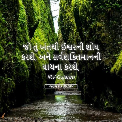 Picture 05 - અયૂબ 8:5 GUJIRV - જો તું ખંતથી - Bible Verse Picture