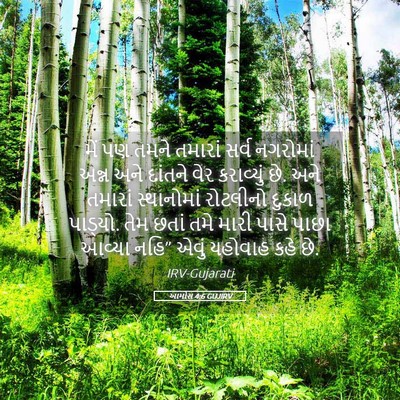 Picture 05 - આમોસ 4:6 GUJIRV - મેં પણ તમને તમારાં - Bible Verse Picture