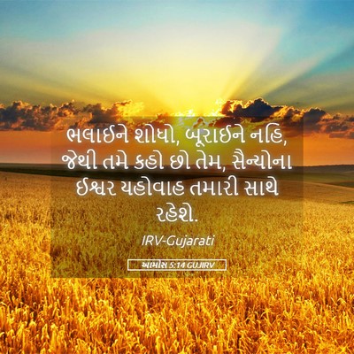 Picture 05 - આમોસ 5:14 GUJIRV - ભલાઈને શોધો, - Bible Verse Picture