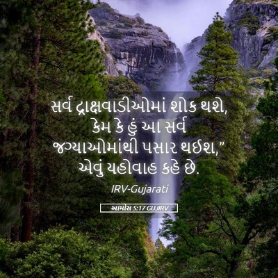 Picture 05 - આમોસ 5:17 GUJIRV - સર્વ - Bible Verse Picture