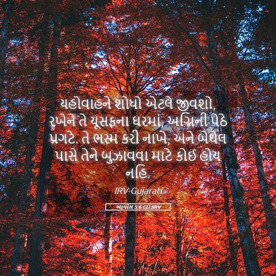 Picture 05 - આમોસ 5:6 GUJIRV - યહોવાહને શોધો - Bible Verse Picture