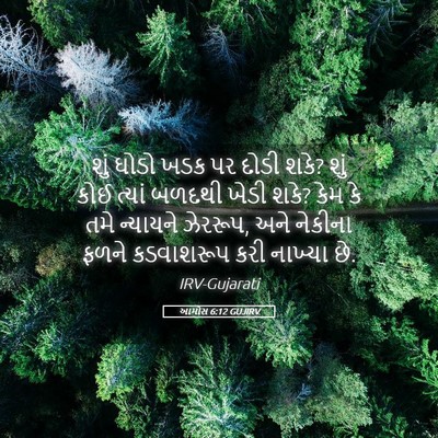 Picture 05 - આમોસ 6:12 GUJIRV - શું ઘોડો ખડક પર - Bible Verse Picture