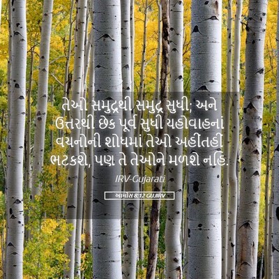 Picture 05 - આમોસ 8:12 GUJIRV - તેઓ સમુદ્રથી - Bible Verse Picture