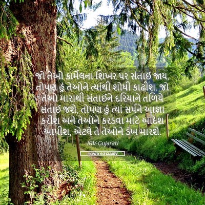 Picture 05 - આમોસ 9:3 GUJIRV - જો તેઓ કાર્મેલના - Bible Verse Picture