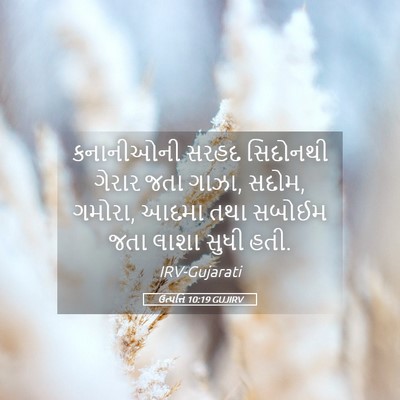 Picture 05 - ઉત્પત્તિ 10:19 GUJIRV - કનાનીઓની સરહદ - Bible Verse Picture