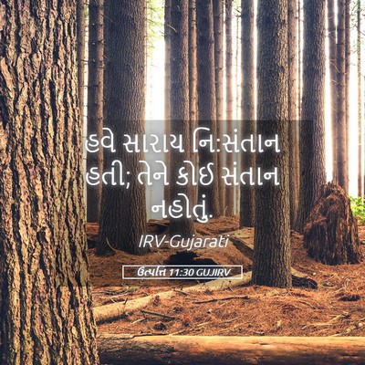 Picture 05 - ઉત્પત્તિ 11:30 GUJIRV - હવે સારાય નિ:સંતાન - Bible Verse Picture