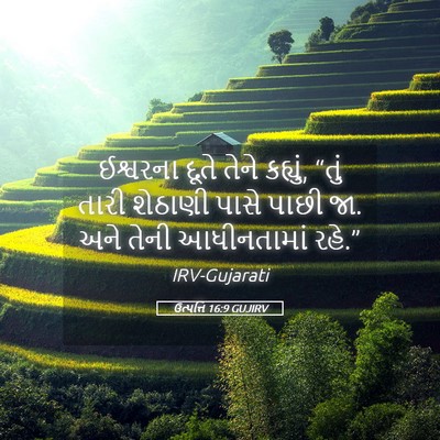 Picture 05 - ઉત્પત્તિ 16:9 GUJIRV - ઈશ્વરના દૂતે તેને - Bible Verse Picture