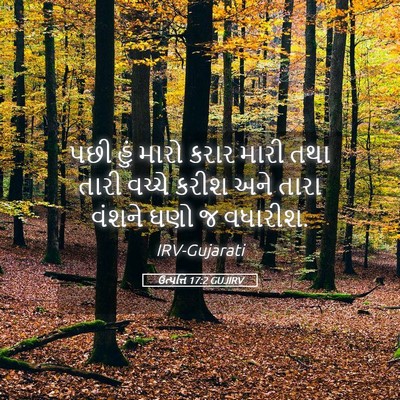 Picture 05 - ઉત્પત્તિ 17:2 GUJIRV - પછી હું મારો કરાર - Bible Verse Picture