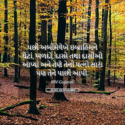 Picture 05 - ઉત્પત્તિ 20:14 GUJIRV - પછી અબીમેલેખે - Bible Verse Picture