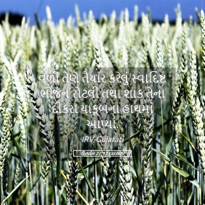 Picture 05 - ઉત્પત્તિ 27:17 GUJIRV - વળી તેણે તૈયાર - Bible Verse Picture