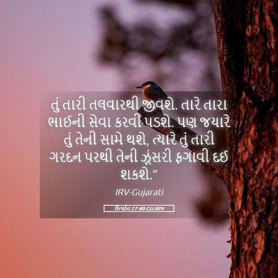 Picture 05 - ઉત્પત્તિ 27:40 GUJIRV - તું તારી તલવારથી - Bible Verse Picture