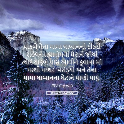 Picture 05 - ઉત્પત્તિ 29:10 GUJIRV - યાકૂબે તેના મામા - Bible Verse Picture