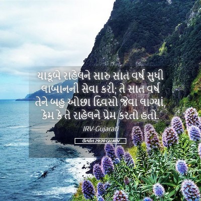 Picture 05 - ઉત્પત્તિ 29:20 GUJIRV - યાકૂબે રાહેલને - Bible Verse Picture