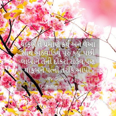 Picture 05 - ઉત્પત્તિ 29:28 GUJIRV - યાકૂબે તે પ્રમાણે - Bible Verse Picture