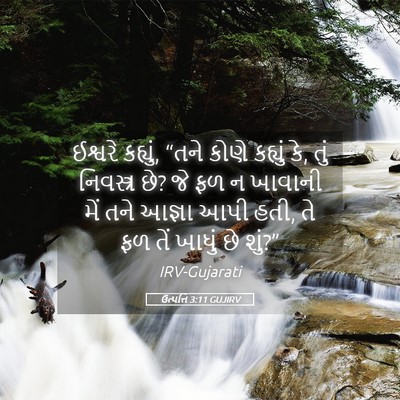 Picture 05 - ઉત્પત્તિ 3:11 GUJIRV - ઈશ્વરે કહ્યું, - Bible Verse Picture
