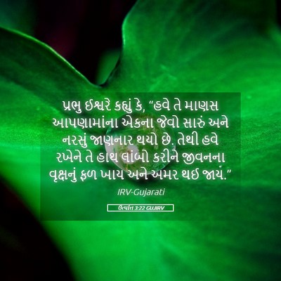 Picture 05 - ઉત્પત્તિ 3:22 GUJIRV - પ્રભુ ઈશ્વરે - Bible Verse Picture