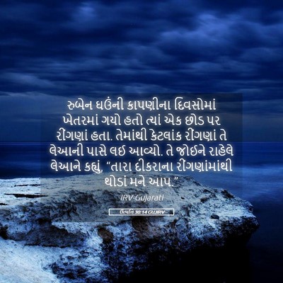 Picture 05 - ઉત્પત્તિ 30:14 GUJIRV - રુબેન ઘઉંની - Bible Verse Picture