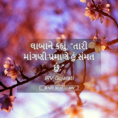 Picture 05 - ઉત્પત્તિ 30:34 GUJIRV - લાબાને કહ્યું, - Bible Verse Picture
