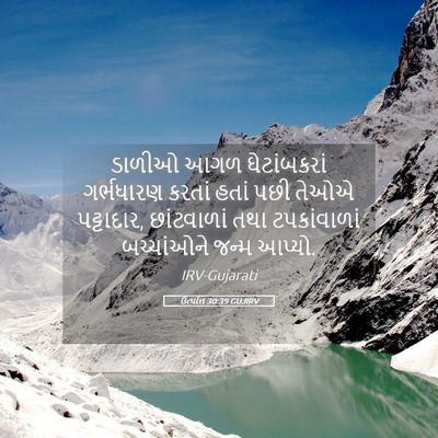 Picture 05 - ઉત્પત્તિ 30:39 GUJIRV - ડાળીઓ આગળ - Bible Verse Picture