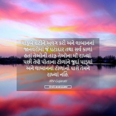 Picture 05 - ઉત્પત્તિ 30:40 GUJIRV - યાકૂબે ઘેટીને અલગ - Bible Verse Picture