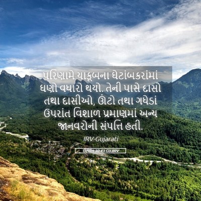 Picture 05 - ઉત્પત્તિ 30:43 GUJIRV - પરિણામે યાકૂબના - Bible Verse Picture