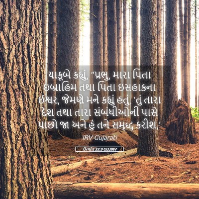Picture 05 - ઉત્પત્તિ 32:9 GUJIRV - યાકૂબે કહ્યું, - Bible Verse Picture
