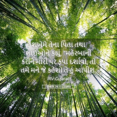 Picture 05 - ઉત્પત્તિ 34:11 GUJIRV - શખેમે તેના પિતા - Bible Verse Picture