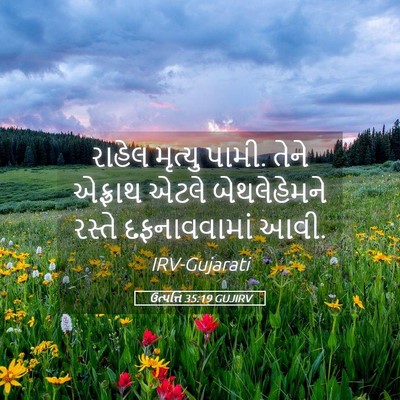 Picture 05 - ઉત્પત્તિ 35:19 GUJIRV - રાહેલ મૃત્યુ પામી. - Bible Verse Picture