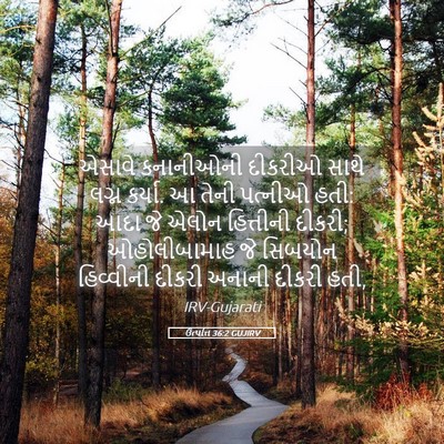 Picture 05 - ઉત્પત્તિ 36:2 GUJIRV - એસાવે કનાનીઓની - Bible Verse Picture