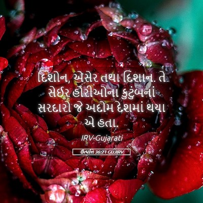 Picture 05 - ઉત્પત્તિ 36:21 GUJIRV - દિશોન, એસેર તથા - Bible Verse Picture
