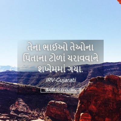 Picture 05 - ઉત્પત્તિ 37:12 GUJIRV - તેના ભાઈઓ તેઓના - Bible Verse Picture