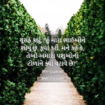 Picture 05 - ઉત્પત્તિ 37:16 GUJIRV - યૂસફે કહ્યું, “હું - Bible Verse Picture