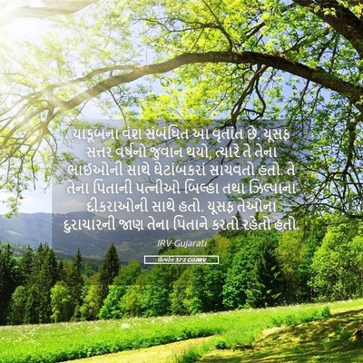 Picture 05 - ઉત્પત્તિ 37:2 GUJIRV - યાકૂબના વંશ - Bible Verse Picture