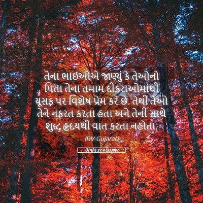 Picture 05 - ઉત્પત્તિ 37:4 GUJIRV - તેના ભાઈઓએ - Bible Verse Picture