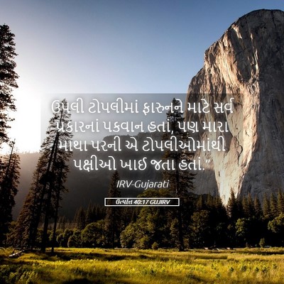 Picture 05 - ઉત્પત્તિ 40:17 GUJIRV - ઉપલી ટોપલીમાં - Bible Verse Picture