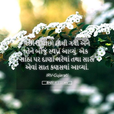 Picture 05 - ઉત્પત્તિ 41:5 GUJIRV - પછી તે પાછો ઊંઘી - Bible Verse Picture
