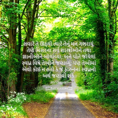 Picture 05 - ઉત્પત્તિ 41:8 GUJIRV - સવારે તે ઊઠ્યો - Bible Verse Picture