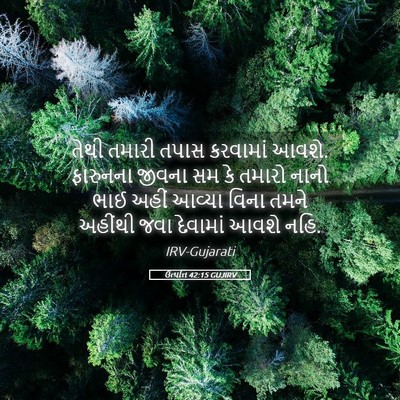 Picture 05 - ઉત્પત્તિ 42:15 GUJIRV - તેથી તમારી તપાસ - Bible Verse Picture